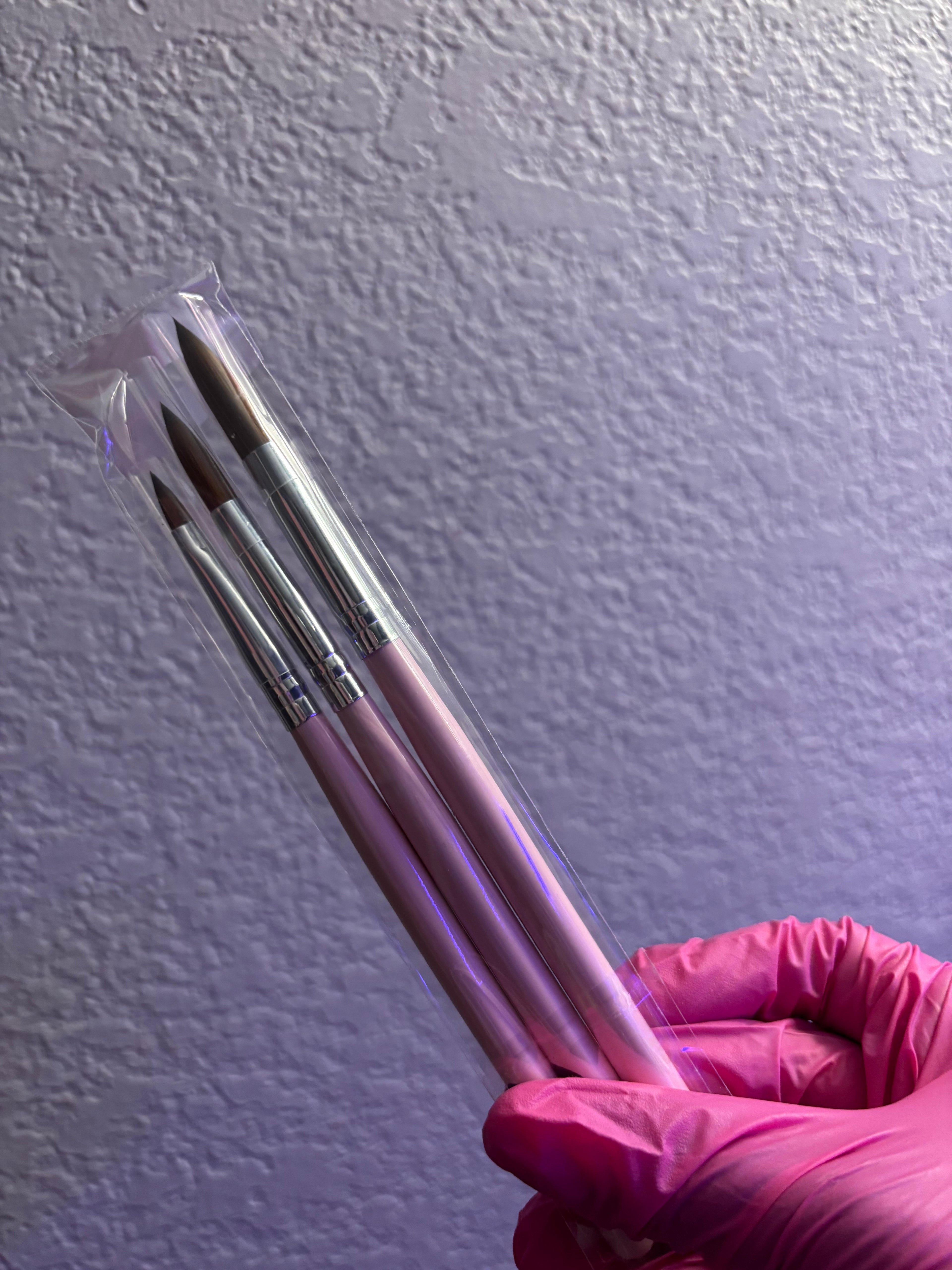 Nail Art Brush Set